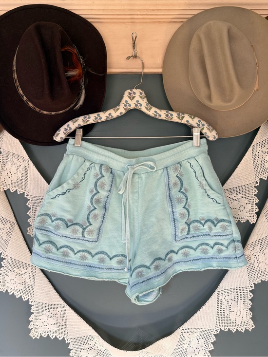 Anthropologie Pants - Daily Practice by Anthropologie Marka Embroidered Shorts sz small